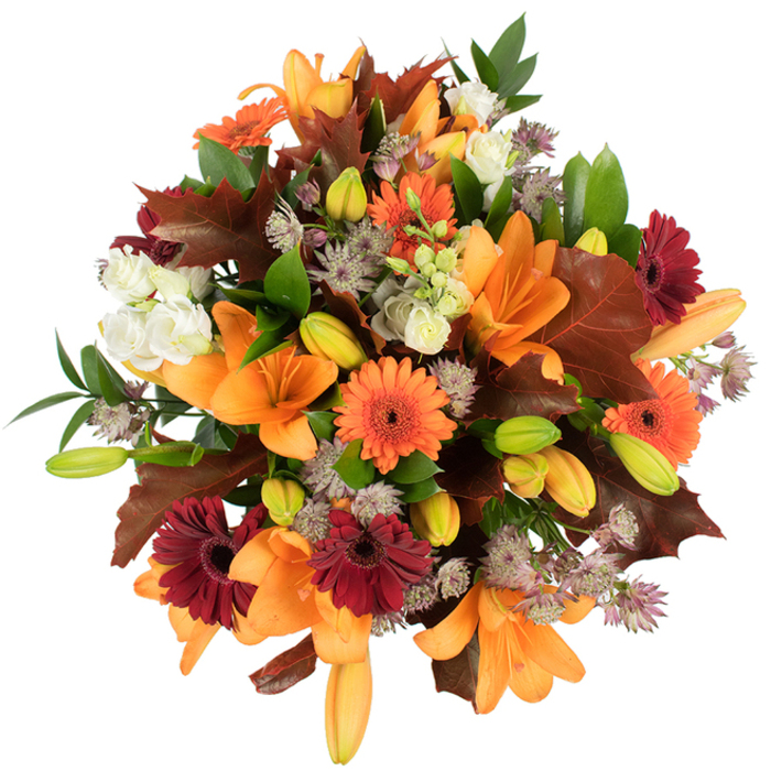 A lush, professional hand-tied bouquet photographed from a close, slightly elevated angle, this arrangement embodies autumn in every detail. At its heart sit large, open orange Asiatic lilies-broad, trumpet-shaped petals unfurling with a satin sheen-surrounded by many tightly furled buds in shades of pale orange and verdant green that promise staged blooms. Vibrant orange Gerbera daisies and deeply saturated burgundy-red gerberas punctuate the massed flowers, their round faces offering joyful focal points, while clusters of creamy white lisianthus with ruffled edges add softness and a gentle, romantic pause between the stronger colours. Delicate sprays of muted purple Astrantia form airy, starry textures that lift the composition and create fine contrast against the bolder blooms. Several wide, lobed leaves in reddish-brown and maroon fall across the bouquet like carefully gathered autumn leaves, their shapes unmistakably oak-like and grounding the design in harvest-time imagery; fresh green foliage and slender stems weave through, providing structure and a lively, natural backdrop. The flowers are brightly lit against a pristine white background so each hue reads true-from the warm orange glow to the deep burgundy and pale lavender-while the overall effect remains rich and abundant. As a local florist at Flower Delivery Emerson Park, I would recommend this arrangement for Thanksgiving centerpieces, harvest celebrations, or to send seasonal cheer to homes across Emerson Park, Hornchurch, and nearby Upminster; the piece feels both celebratory and lovingly crafted, with a soft, woody-fruity scent and a tactile richness underhanded by careful arranging.